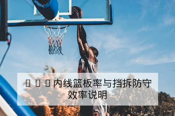 CBA内线篮板率与挡拆防守效率说明