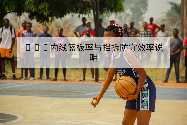 CBA内线篮板率与挡拆防守效率说明